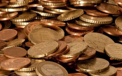 El control de la gestión económica y financiera de las sociedades estatales