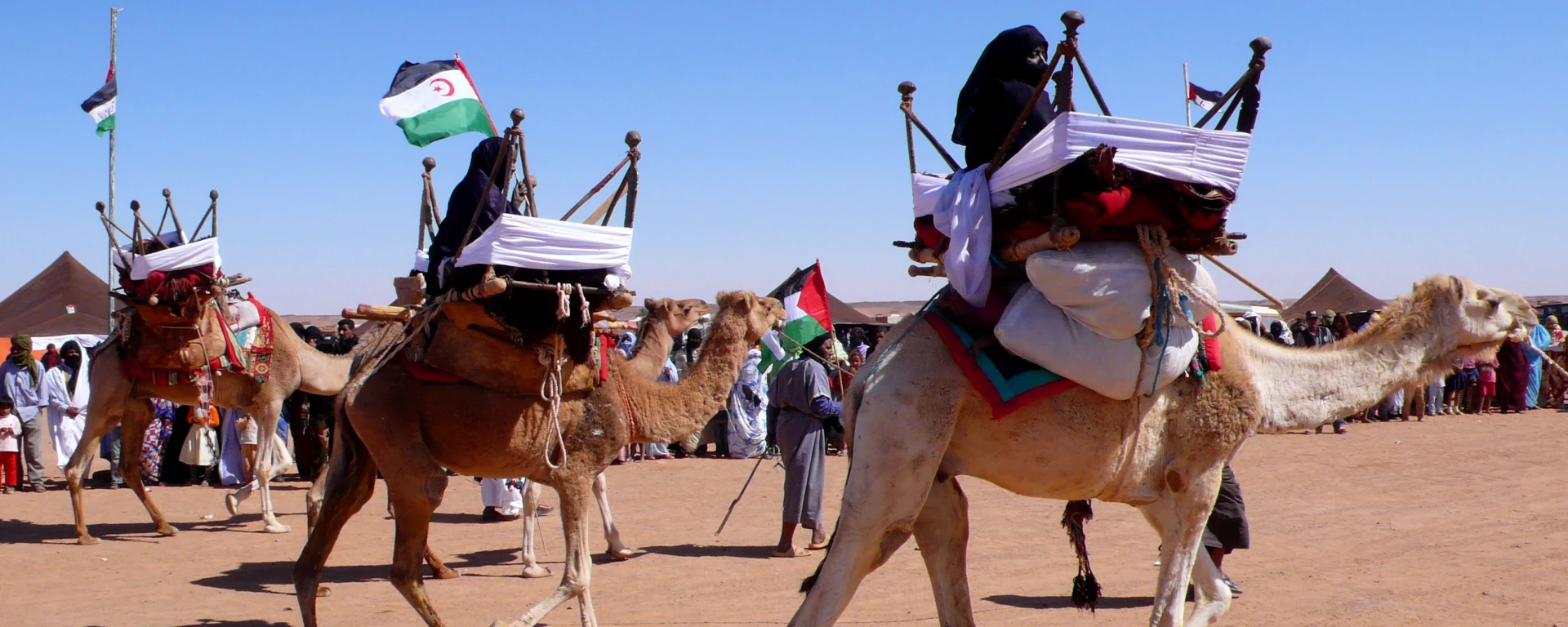 exhibicion_de_camellos_en_la_wilaya_de_dajla_campamentos_de_refugiados_saharauis_de_tinduf_abril_de_2007.jpg sahara occidental