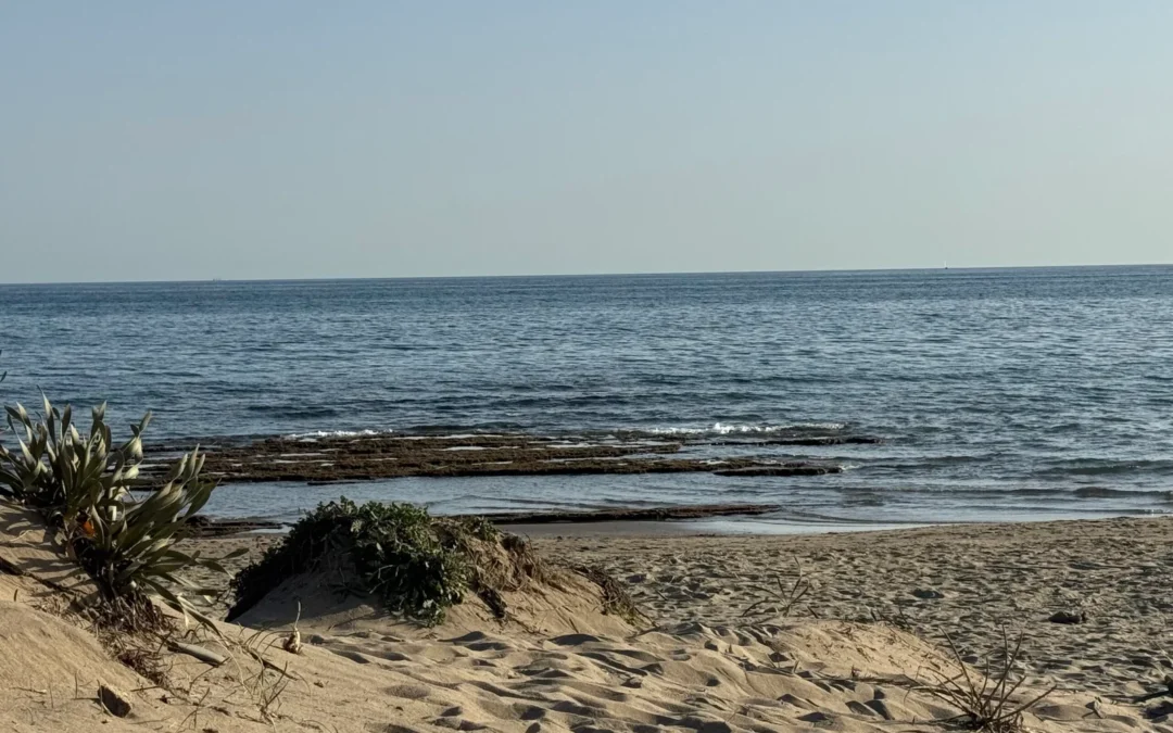 Las aguas marítimas bajo soberanía o jurisdicción del Estado español y las competencias de las Comunidades Autónomas