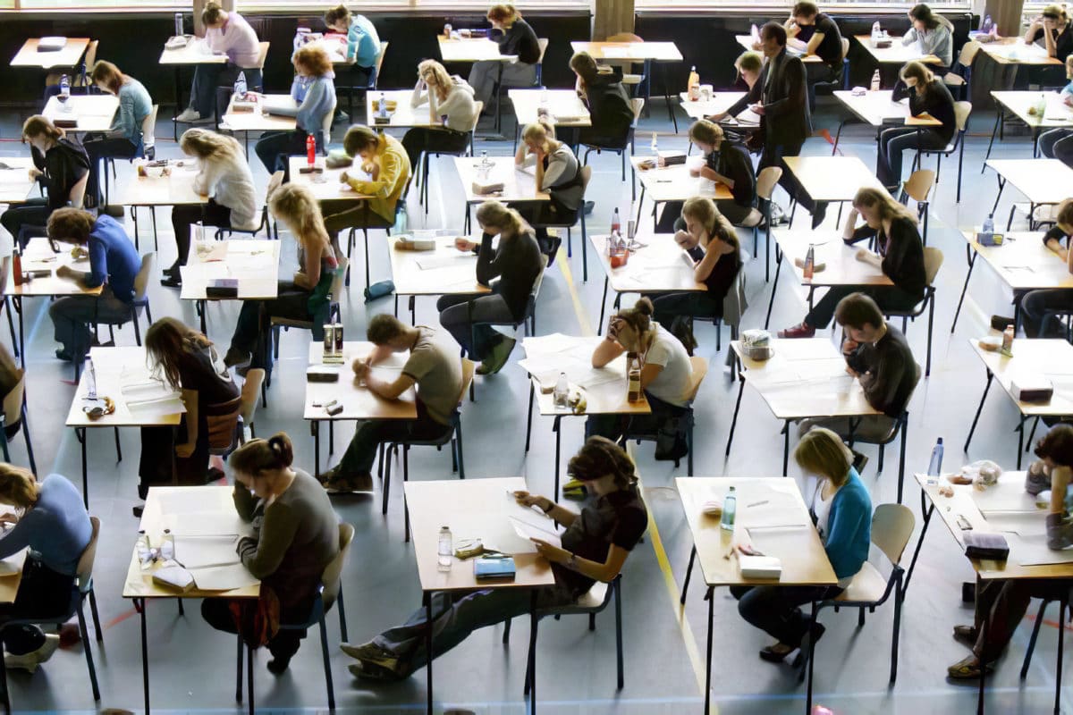estudiante universitario